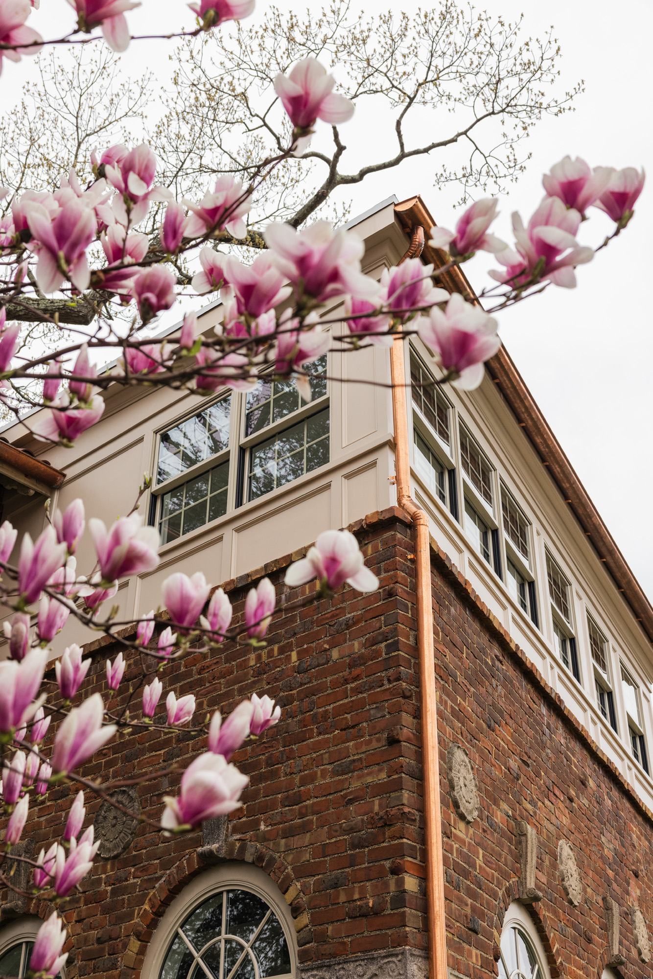 Providence Historic Home Renovation & Addition: Modernizing a 1930 Spanish Revival (Hill & Harbor journal)